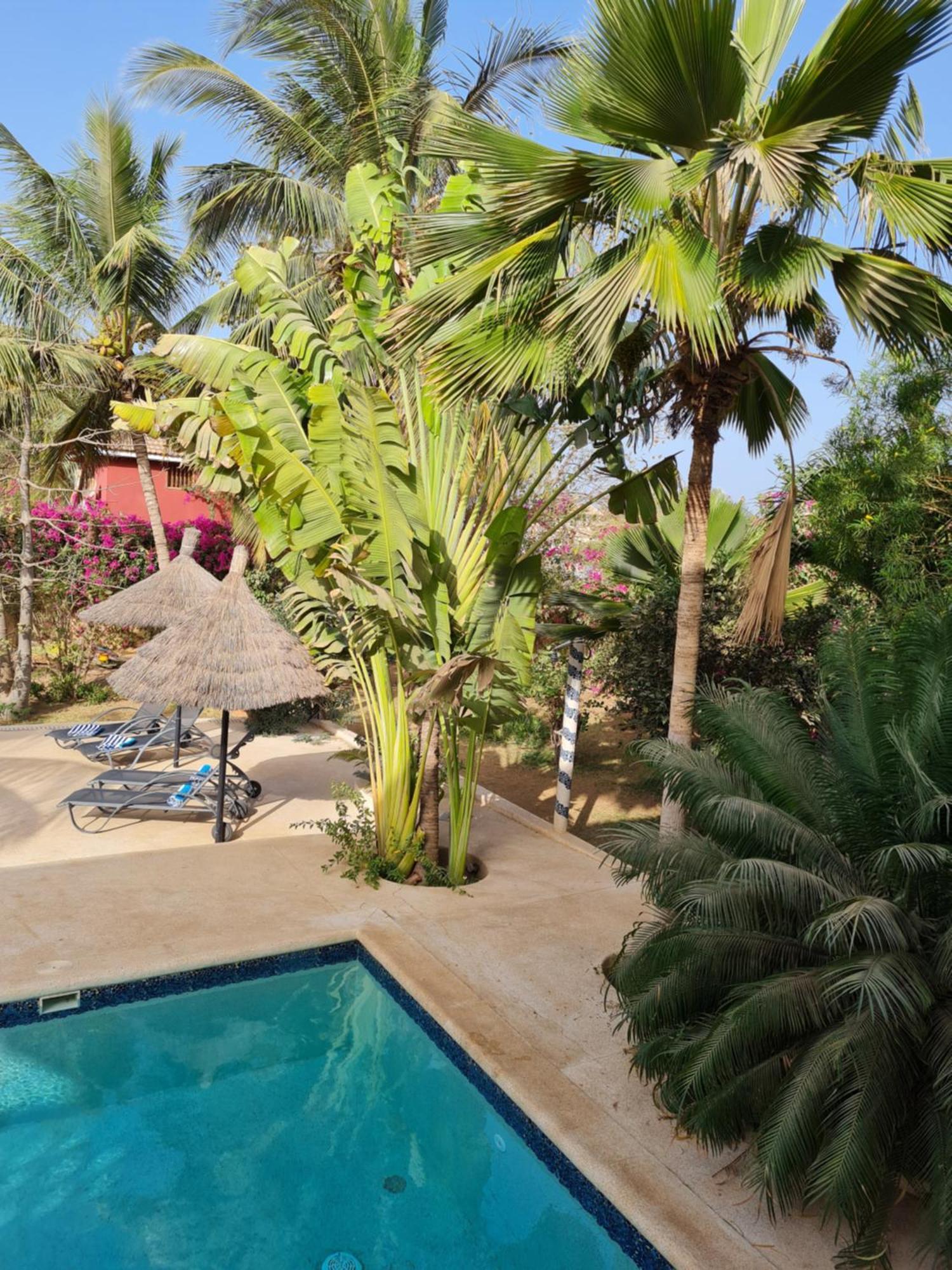Bed and Breakfast Le Souimanga Bleu Saly Exteriér fotografie